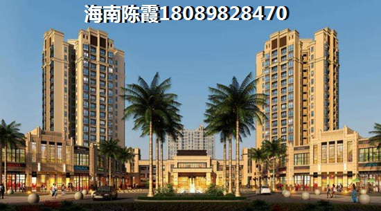 中盟椰海国际户型图怎么看？