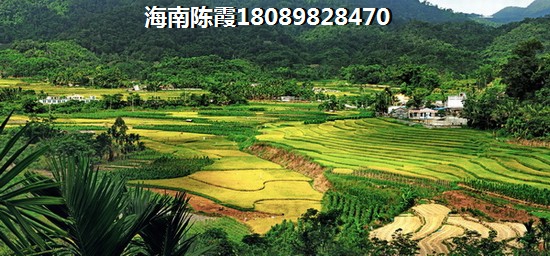 海南复地鹿岛鸟瞰图