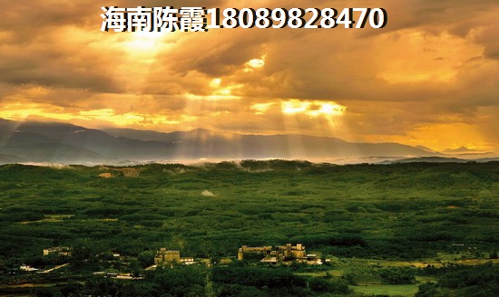 山林君悦税费