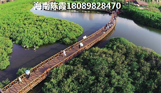 凤凰水城红树湾公馆楼盘详情