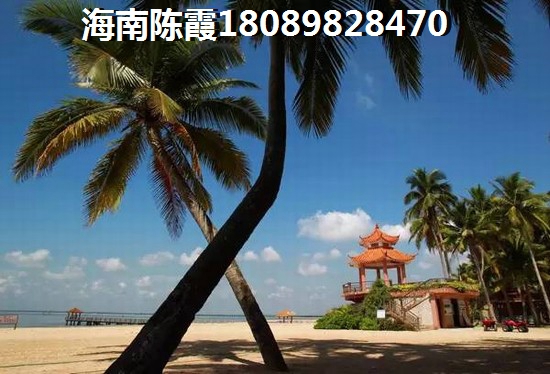 海南三亚海岸龙庭还会生纸吗