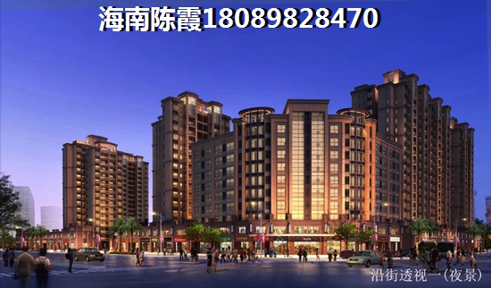 椰子洲岛房子涨价了吗？