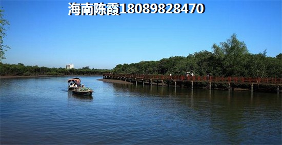 国芳佳苑海景房的优势和不足