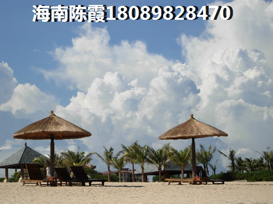 利泽海月