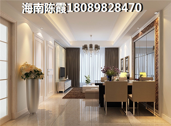 中粮红塘悦海VS海南富地国际分析对比