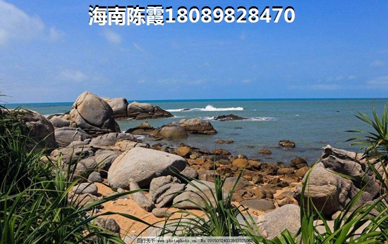 翠屏·凤凰海岸防潮秘籍