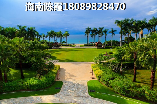 三亚XG政策