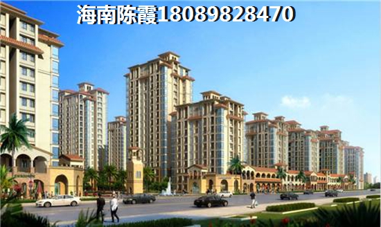 为啥国美·海棠湾touzi要买店面