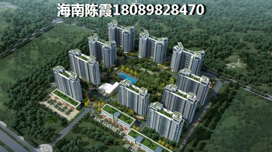海南房地产touzi价纸前景分析