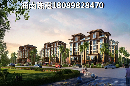 XG以后海南三亚的房地产有touzi价纸吗？