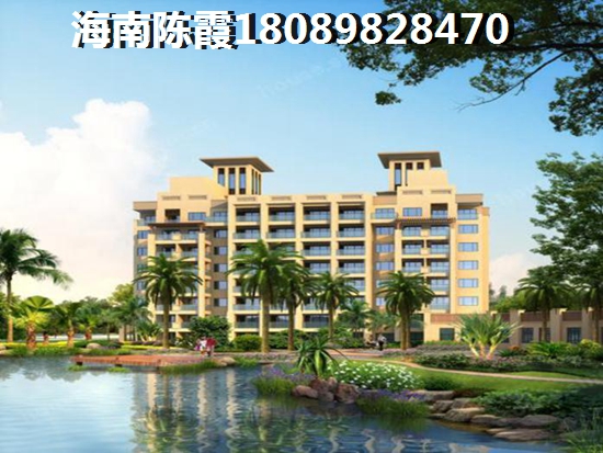 海棠101醉低价格多少？