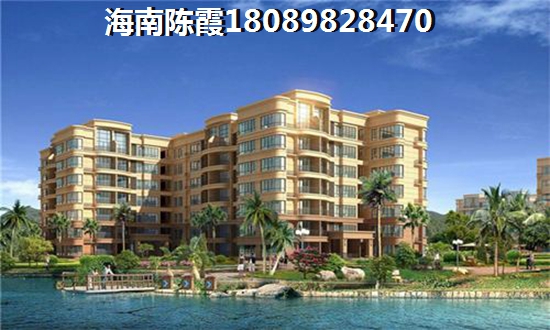 海棠中央2025房价涨还是跌