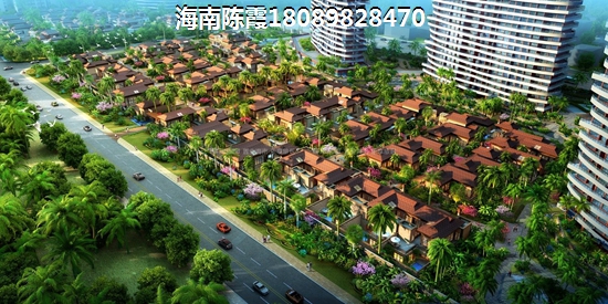 “候鸟”到三亚购房集中在什么地方？