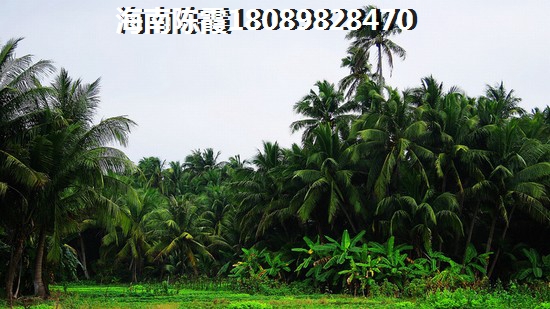 时分亚龙湾性价比超高是不是真的？