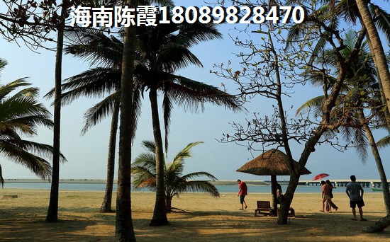 “候鸟”老人如何在三亚买房子？