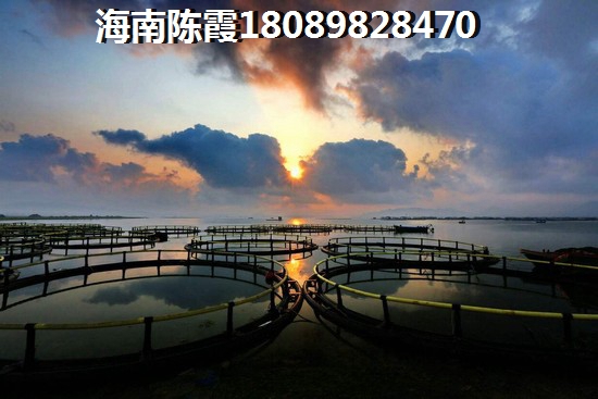 雨中冒险玩法