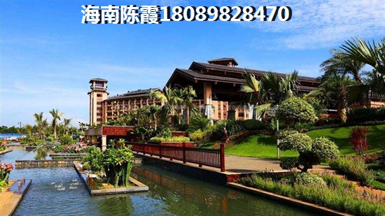 鹅蛋是什么意思